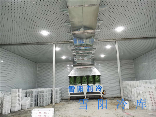 速凍冷庫(kù)的制冷方